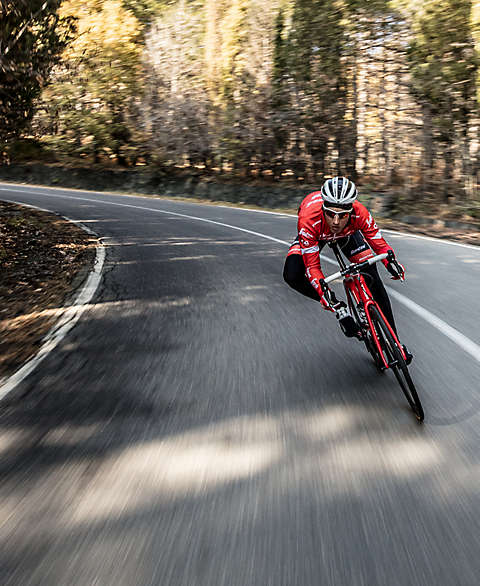 "road bikes for sale" "road bikes for sale"